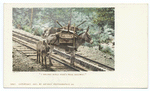 I helped build Pikes Peak Railway burro.