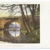 The Farnum Bridge, Richfield Springs, N. Y.