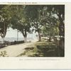 The Shell Road, Biloxi, Miss.