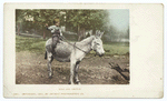 Kind and Gentle, Burro