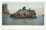 Seal Rocks, Santa Catalina, Calif.