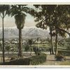 Snow and Palms, Pasadena, Calif.