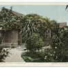 A Rose Covered Cottage, Pasadena, Calif.