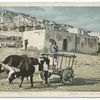 Old Carreta, Laguna Pueblo, N. M.