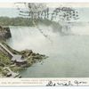 Niagara Falls from Steel Bridge, Niagara, N. Y.