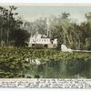 The Okeehumkee on the Ocklawaha, Florida