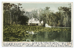 The Okeehumkee on the Ocklawaha, Florida