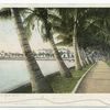 The Walk, Palm Beach, Fla.