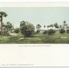 Golf Links, Palm Beach, Fla.