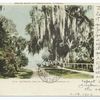 Indian River, Rockledge, Fla.