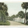 Road To Cocoa, Rockledge, Fla.