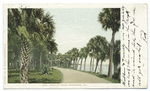 Road To Cocoa, Rockledge, Fla.