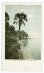 Along Indian River, Rockledge, Fla.