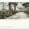 The Royal Victoria, Nassau, B. I.
