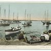 The Sponge Fleet, Nassau, B. I.
