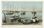 The Sponge Fleet, Nassau, B. I.