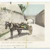 The Market Delivery, Nassau, B. I.