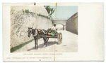 The Market Delivery, Nassau, B. I.