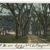 The Hermitage, Savannah, Ga.