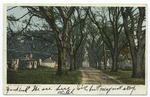 The Hermitage, Savannah, Ga.