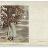 Aunt Phoebe, Charleston S. C.