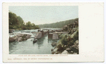 State Dam and Lock, Saranac River, Adirondack Mts., N. Y.