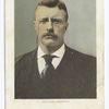 Theodore Roosevelt, Portrait