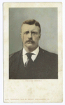 Theodore Roosevelt, Portrait