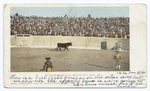 Entrance of the Bull, Mexican Bull Fight.