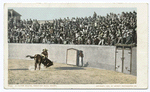 A Close Shave, Mexican Bull Fight.