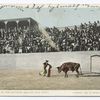 The Thrust by the Matador, Mexican Bull Fight.