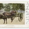 A Horseless Carriage, South