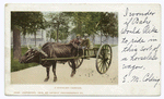 A Horseless Carriage, South