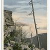 Kaaterskill Clove, Sunset Rock, Catskills, N. Y.