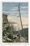 Kaaterskill Clove, Sunset Rock, Catskills, N. Y.