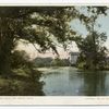 The Huron River, near Ann Arbor, Mich.