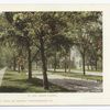 Street Scene, Ann Arbor, Mich.