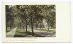 Street Scene, Ann Arbor, Mich.