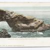Alligator Head, La Jolla, San Diego, Calif.