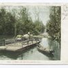 Ferry on the Ocklawaha, Florida