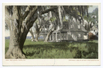 Fort Brook, Tampa, Fla.