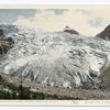 Illecillewaet Glacier, Selkirk Mtn., B. C.