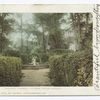 Colonial Gardens, Columbia, S. C.