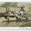 Mammy going to Market