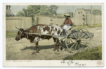 Mammy going to Market