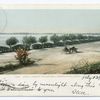 Lake Calhoun Boulevard (also Como Park), Minneapolis, Minn.