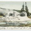 Grotto Geyser, Yellowstone Nat. Park