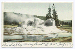 Grotto Geyser, Yellowstone Nat. Park