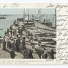 The Pier at the Inlet, Atlantic City, N. J.