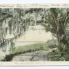 Royal Arch Oak, Ormond, Fla.